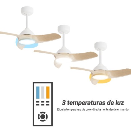 Ventilador de techo Diehl S Sulion