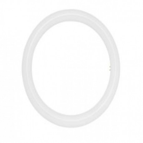 Tubo LED Fluorescente Circular T9 20W Roblan