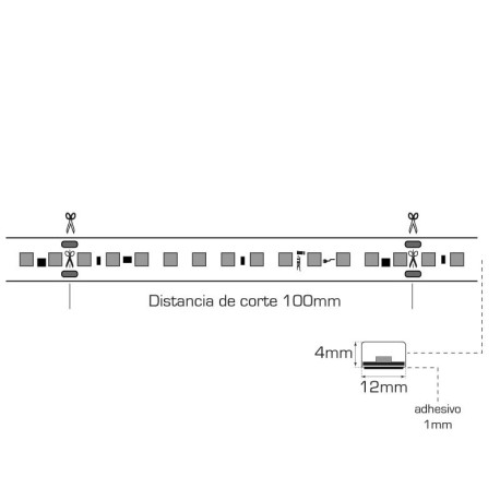 Rollo tira led Lotus 12w 50m 230V I-TEC
