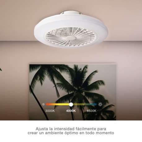 Ventilador techo Box Fan Talsano CCT blanco GSC
