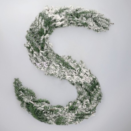 Guirnalda nevada Babai GSC