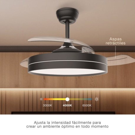 Ventilador de techo Lugela GSC